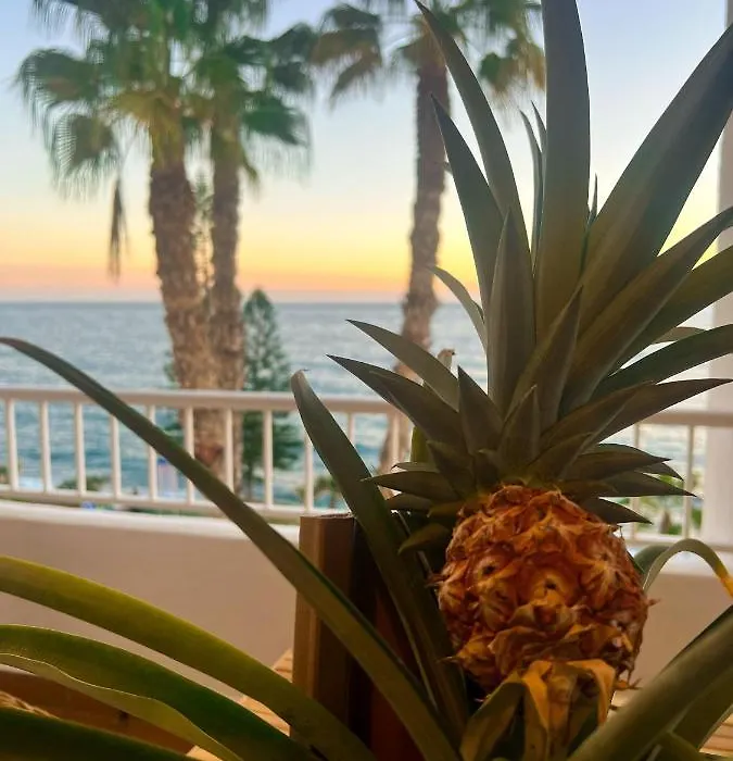 DreamStay Primera Linea De Playa Costa Tropical-1